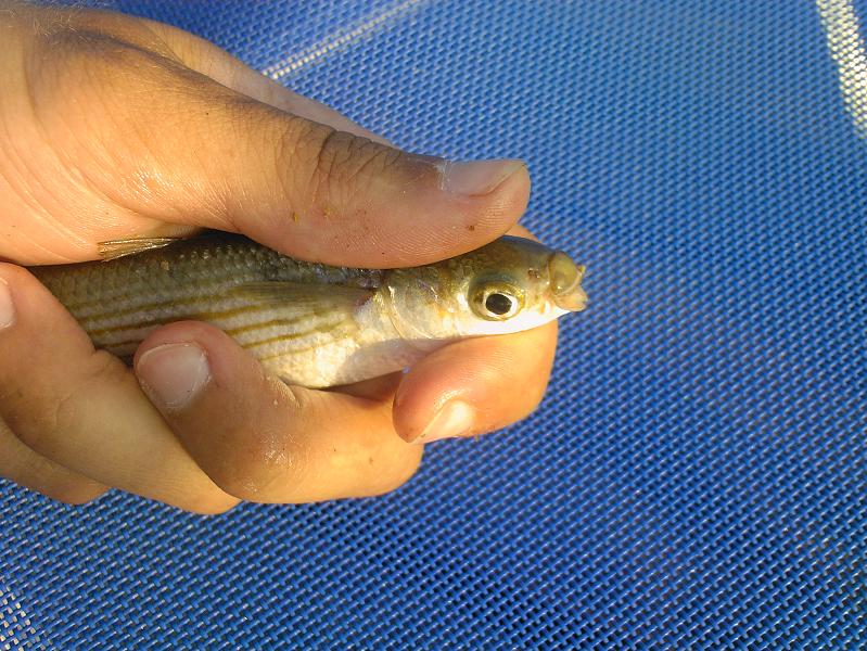 Нажмите на изображение для увеличения.
Название: Photo-0140.jpg
Просмотров: 1
Размер: 107.2 Кб
ID: 3918727