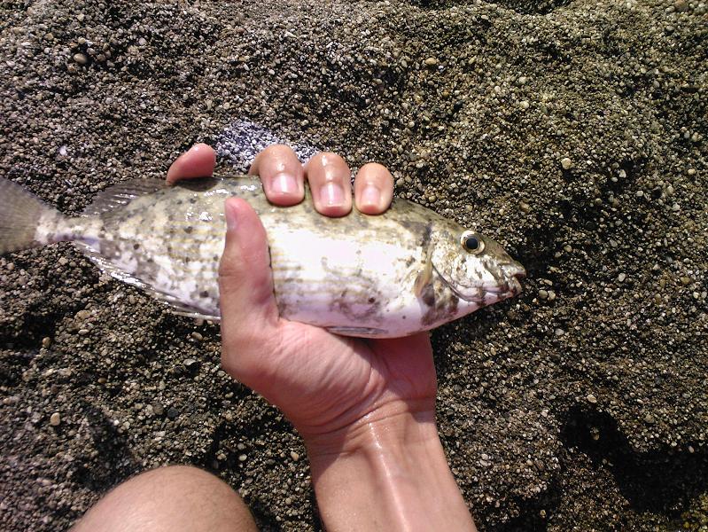 Нажмите на изображение для увеличения.
Название: Photo-0127.jpg
Просмотров: 1
Размер: 173.7 Кб
ID: 3918728