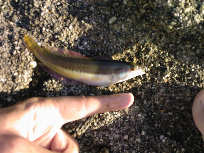 Нажмите на изображение для увеличения.
Название: Photo-0129.jpg
Просмотров: 1
Размер: 83.2 Кб
ID: 3918730