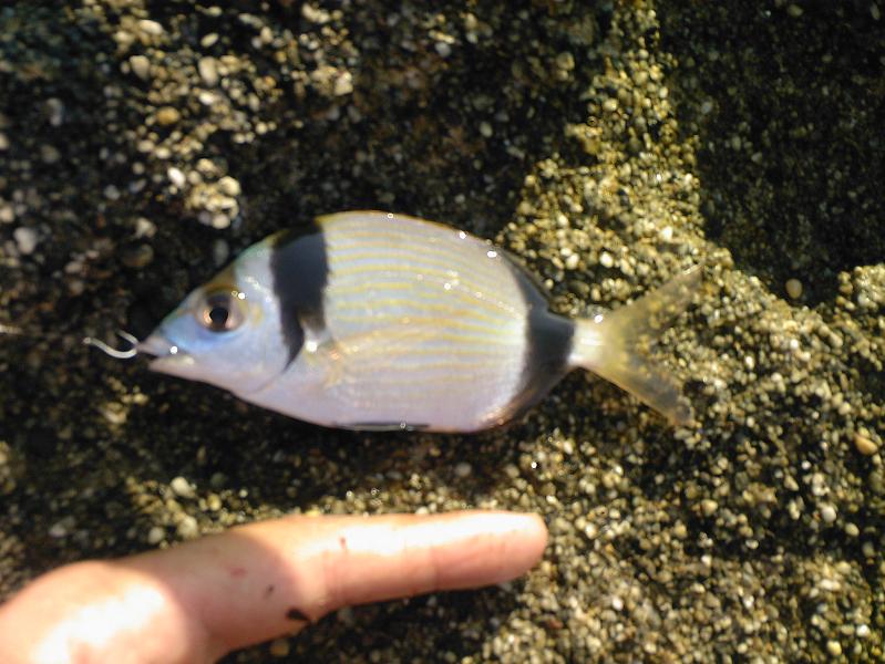 Нажмите на изображение для увеличения.
Название: Photo-0132.jpg
Просмотров: 1
Размер: 79.3 Кб
ID: 3918732