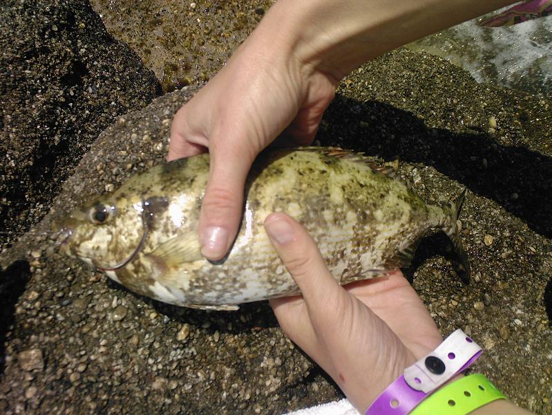 Нажмите на изображение для увеличения.
Название: Photo-0134.jpg
Просмотров: 1
Размер: 115.1 Кб
ID: 3918733