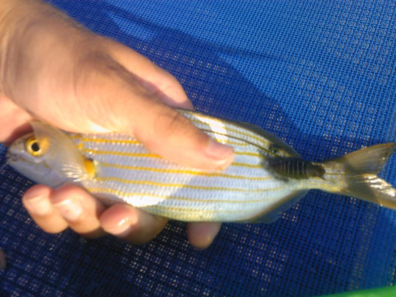 Нажмите на изображение для увеличения.
Название: Photo-0137.jpg
Просмотров: 1
Размер: 78.8 Кб
ID: 3918735