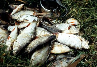 Нажмите на изображение для увеличения.
Название: згщ8.jpg
Просмотров: 9833
Размер: 638.9 Кб
ID: 4465220