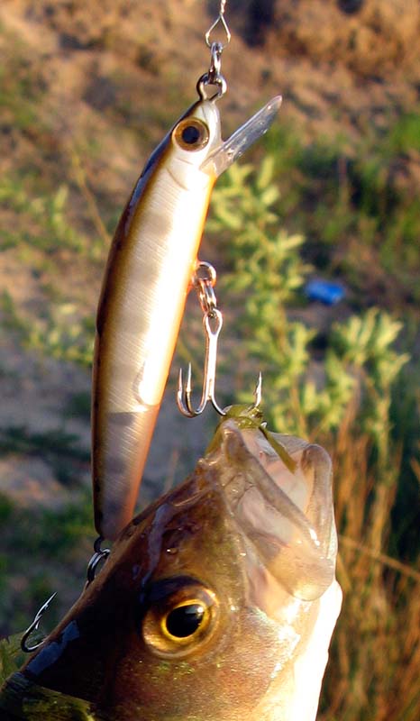 Нажмите на изображение для увеличения.
Название: Шуга 50.jpg
Просмотров: 1
Размер: 67.7 Кб
ID: 3919196