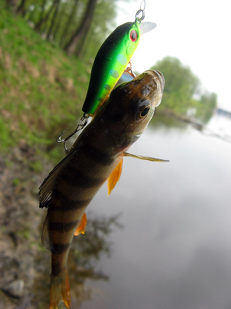 Нажмите на изображение для увеличения.
Название: 35-й кислотник.jpg
Просмотров: 1
Размер: 100.2 Кб
ID: 3919199