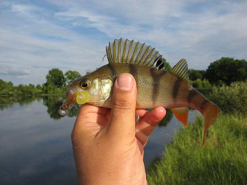 Нажмите на изображение для увеличения.
Название: IMG_1889.jpg
Просмотров: 1
Размер: 85.7 Кб
ID: 3919200
