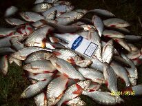 Нажмите на изображение для увеличения.
Название: 1460135583457.jpg
Просмотров: 1
Размер: 13.7 Кб
ID: 3921938