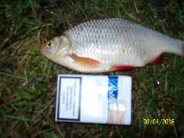 Нажмите на изображение для увеличения.
Название: 1460135589945.jpg
Просмотров: 1
Размер: 10.0 Кб
ID: 3921940