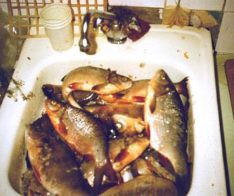 Нажмите на изображение для увеличения.
Название: ввввввввввввввввввввввв.jpg
Просмотров: 10919
Размер: 271.6 Кб
ID: 4465216