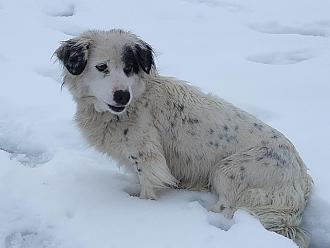 Нажмите на изображение для увеличения.

Название:	IMG_20230311_183049.jpg
Просмотров:	8199
Размер:	304.7 Кб
ID:	4448562